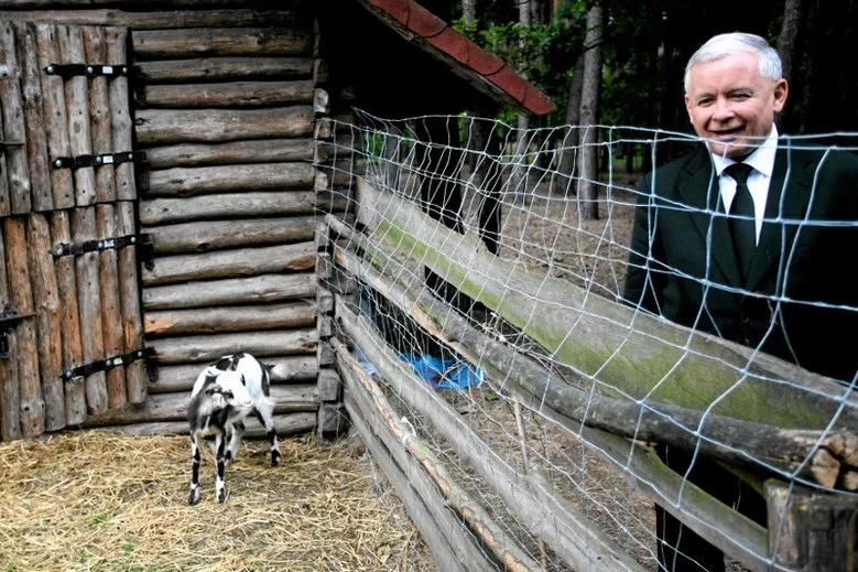 Dlaczego PiS znalazło fortunę na "plusy" dla rolników, a nie chce dać podwyżek nauczycielom? Prof. Belka znajduje dwie możliwie odpowiedzi.