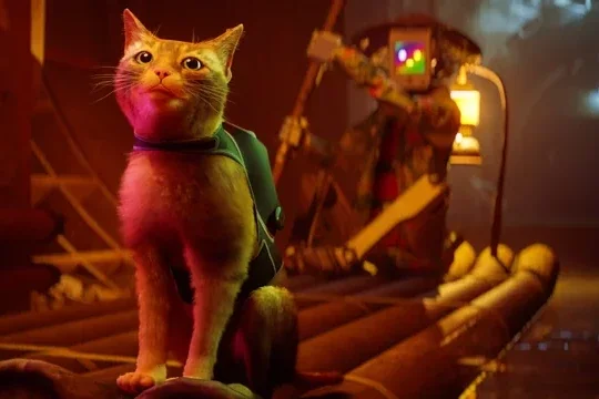 Gra "Stray" doczeka się filmu animowanego od twórcy "Nimony"