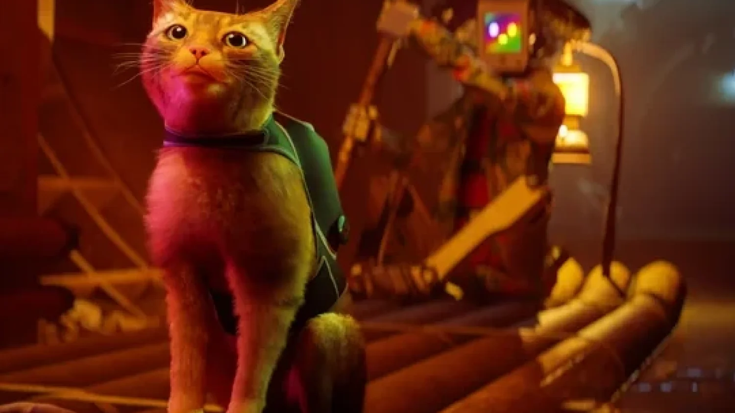 Gra "Stray" doczeka się filmu animowanego od twórcy "Nimony"