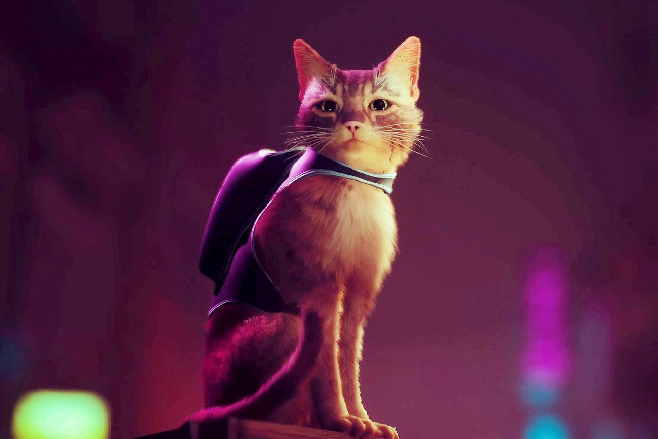 "Stray" to nietypowy symulator kota w dystopijnym, cyberpunkowym świecie.