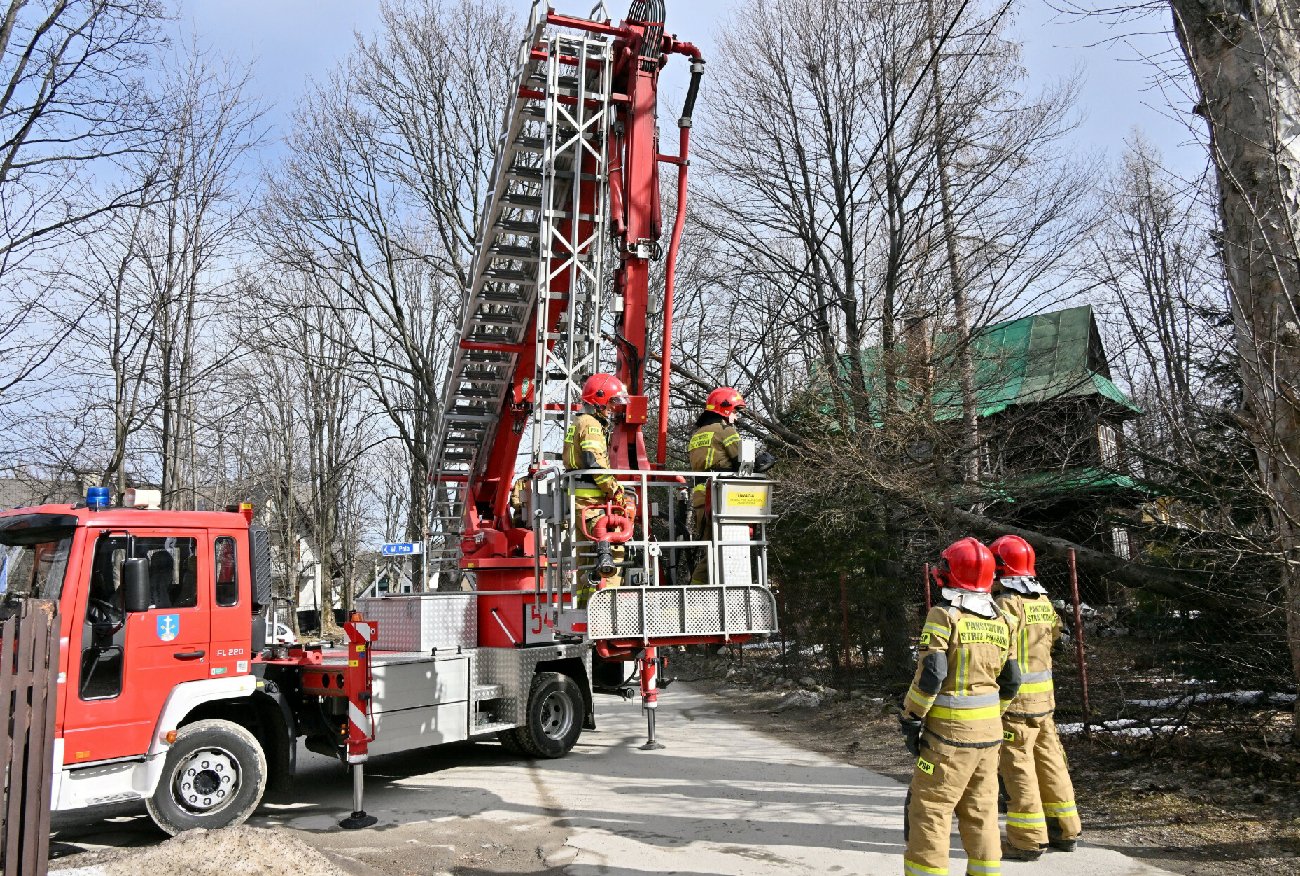 Rabka-Zdrój. Drzewo runęło na trzy osoby. Nie żyje 6-latek i dwie kobiety.