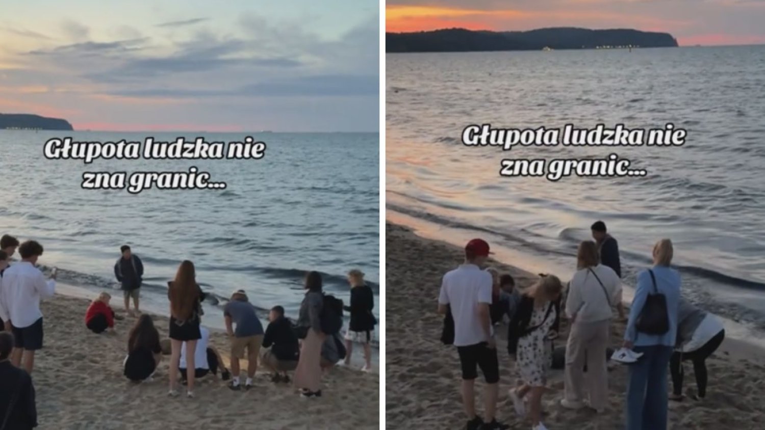 Zamieszanie nad Bałtykiem. Foka wyszła na plażę w Sopocie.