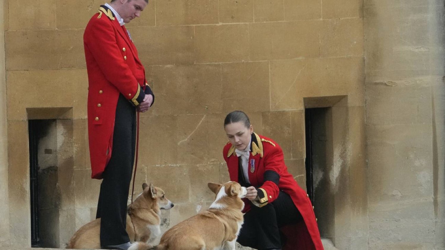 Corgi na pogrzebie królowej. Psy Elżbiety II czekały na trumnę na zamku