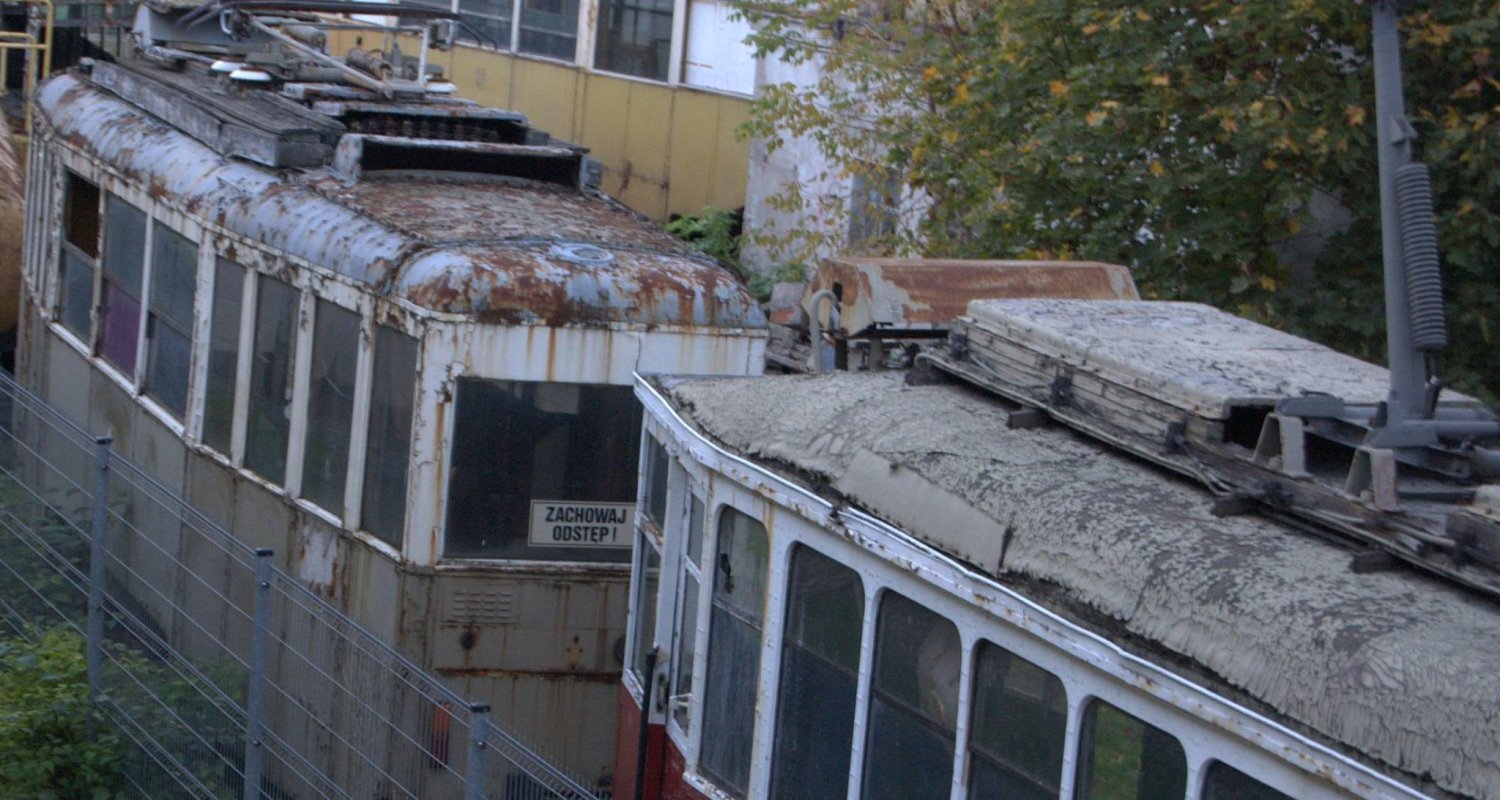 (fot. Piotr Lewandowski)