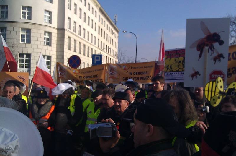 Protest pszczelarzy w Warszawie