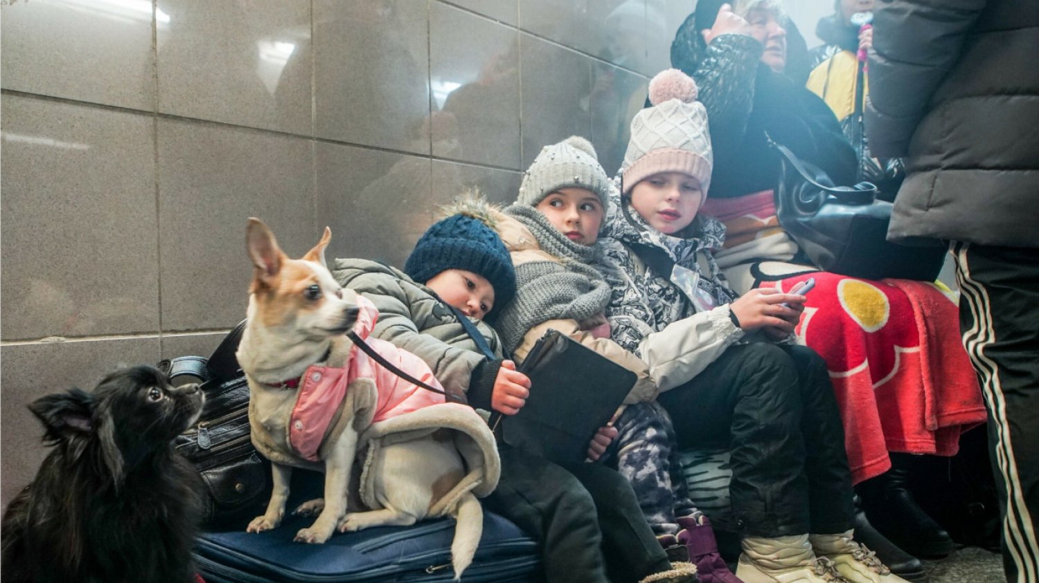 Już ponad 1,2 mln uchodźców z Ukrainy przybyło do Polski. Są to głównie kobiety z dziećmi. W Polsce mogą bezpłatnie uzupełnić obowiązkowe szczepienia ochronne.