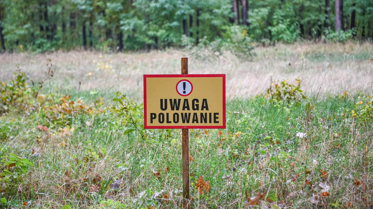 To nie myśliwy oddał strzał w Młyniskach? Śledczy mają wątpliwości Strzał w Młyniskach padł 150 metrów od ofiary. Śledczy mają nową hipotezę