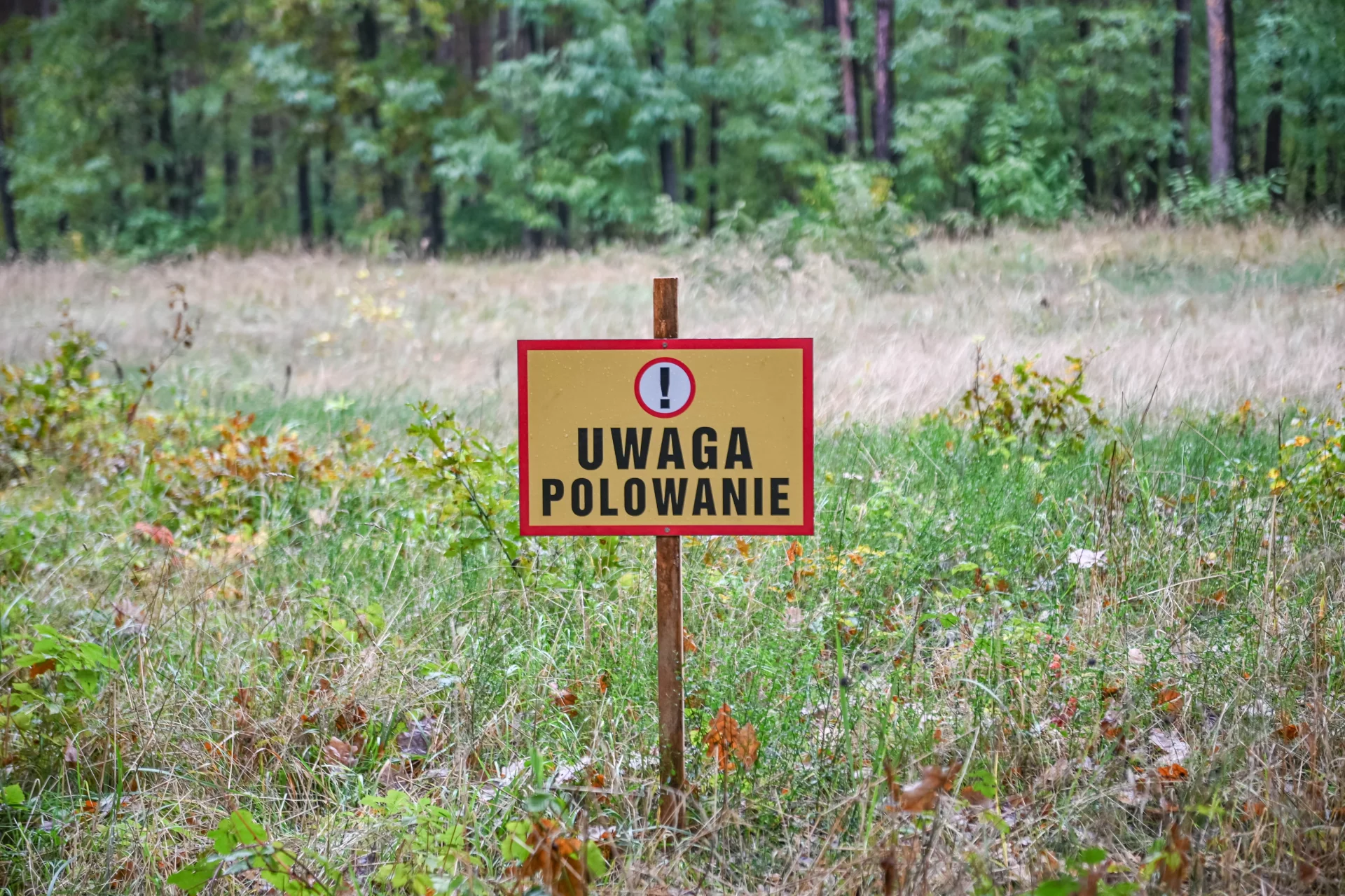 Strzał w Młyniskach padł 150 metrów od ofiary. Śledczy mają nową hipotezę