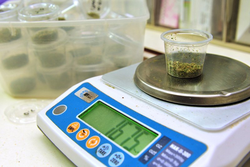 Minimum 18 lat, wpis do rejestru i do 10 gramów tygodniowo. Prezydent Urugwaju podpisał ustawę dot. marihuany