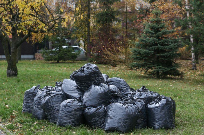 Grabienie liści to narodowy sport Polaków