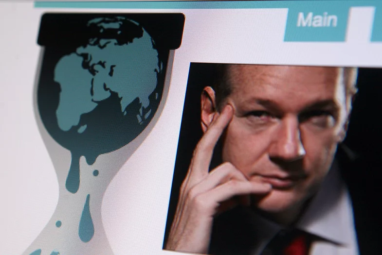 Julian Assange idzie do wyborów w australijskim senacie.