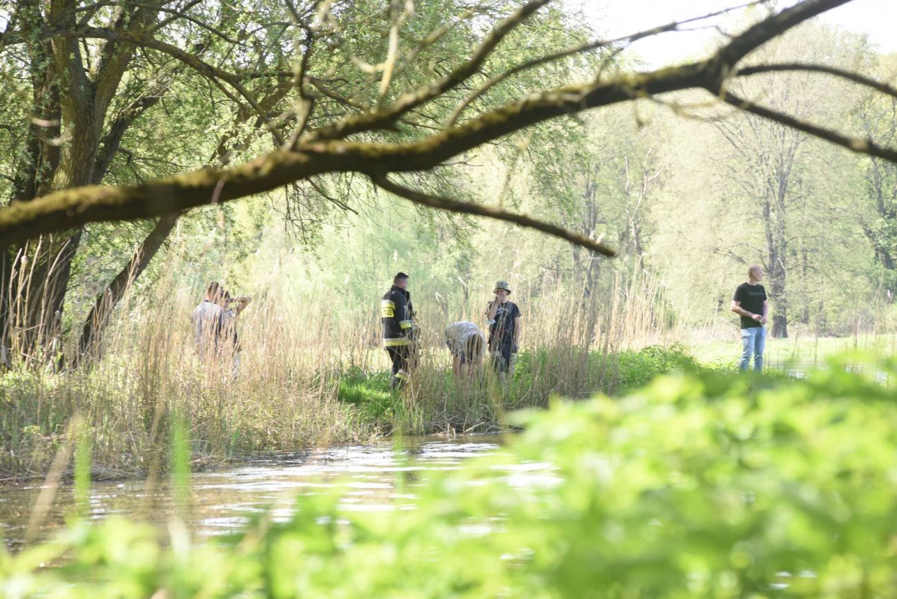 Worki ze zwłokami psów w rzece pod Warszawą. Szczeniaki i dorosłe