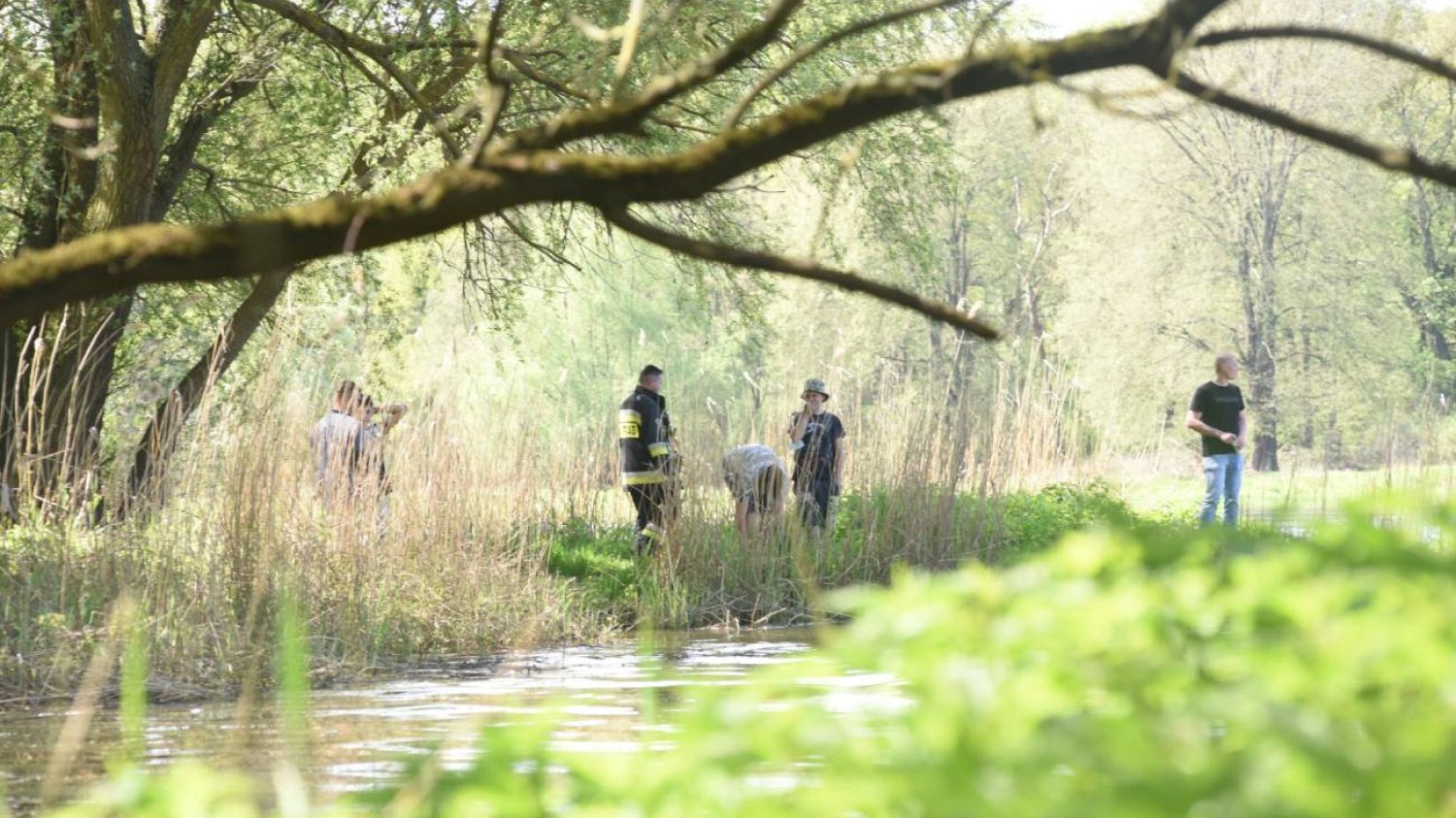 Worki ze zwłokami psów w rzece pod Warszawą. Szczeniaki i dorosłe