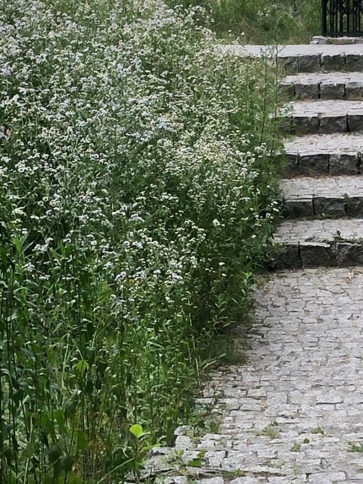 Stary Cmentarz w Lublinie