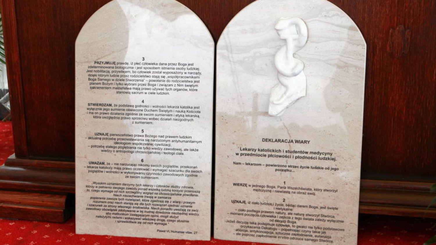 Prezes Katolickiego Stowarzyszenia Lekarzy Polskich o “Deklaracji wiary”: nie widzę żadnego powodu do kontrowersji.