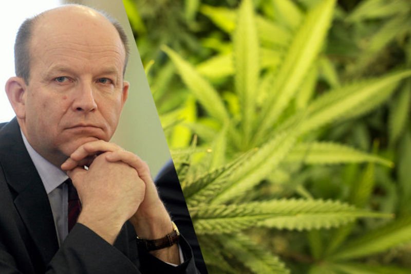 Konstanty Radziwiłł nie wyklucza dopuszczenia leczniczej marihuany w Polsce.