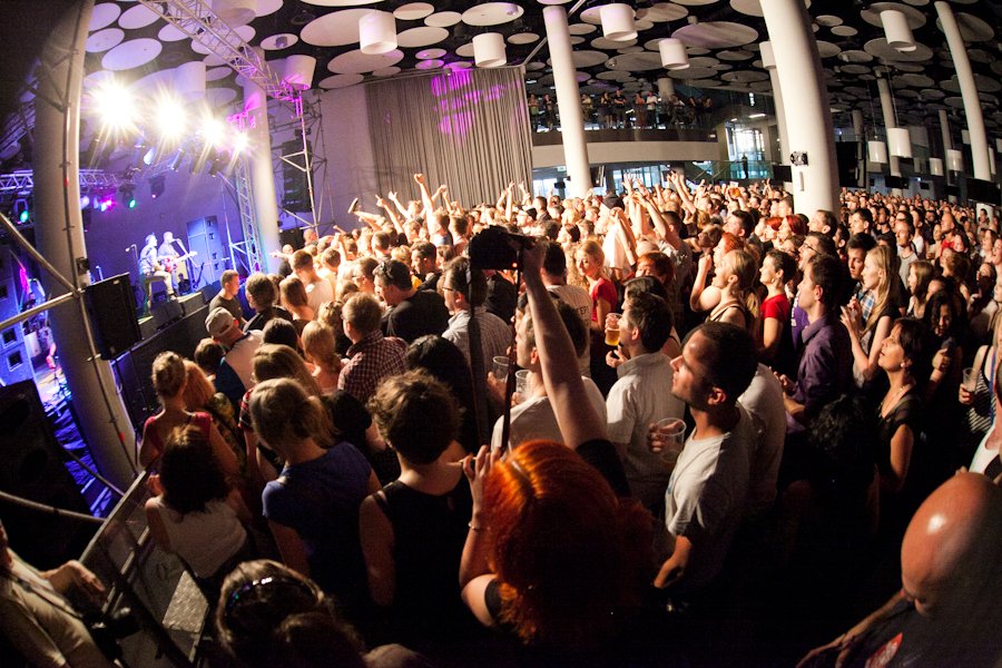 Gogol Bordello, 2013