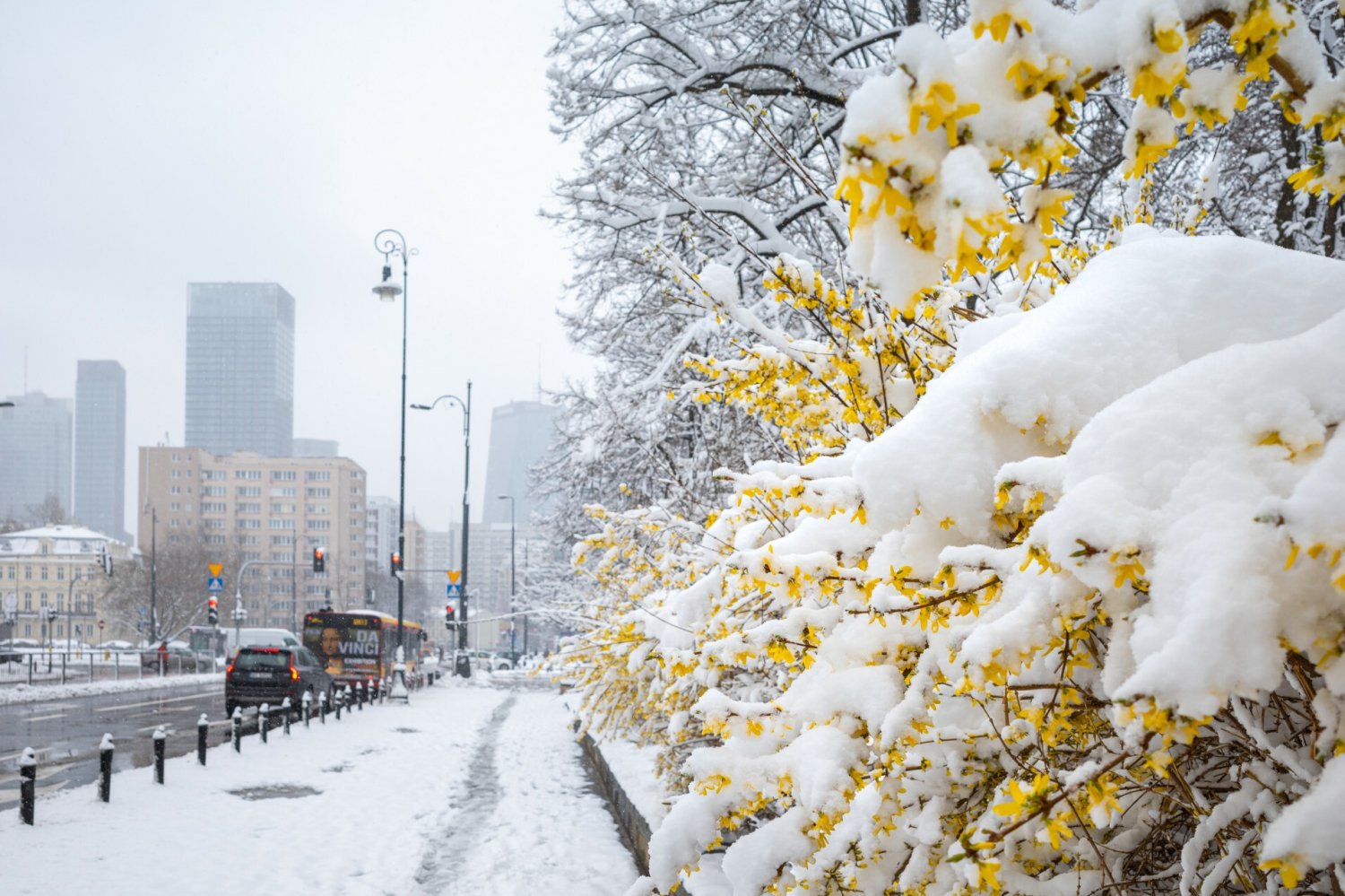 1 marca 2023 dniem meteorologicznej wiosny.
