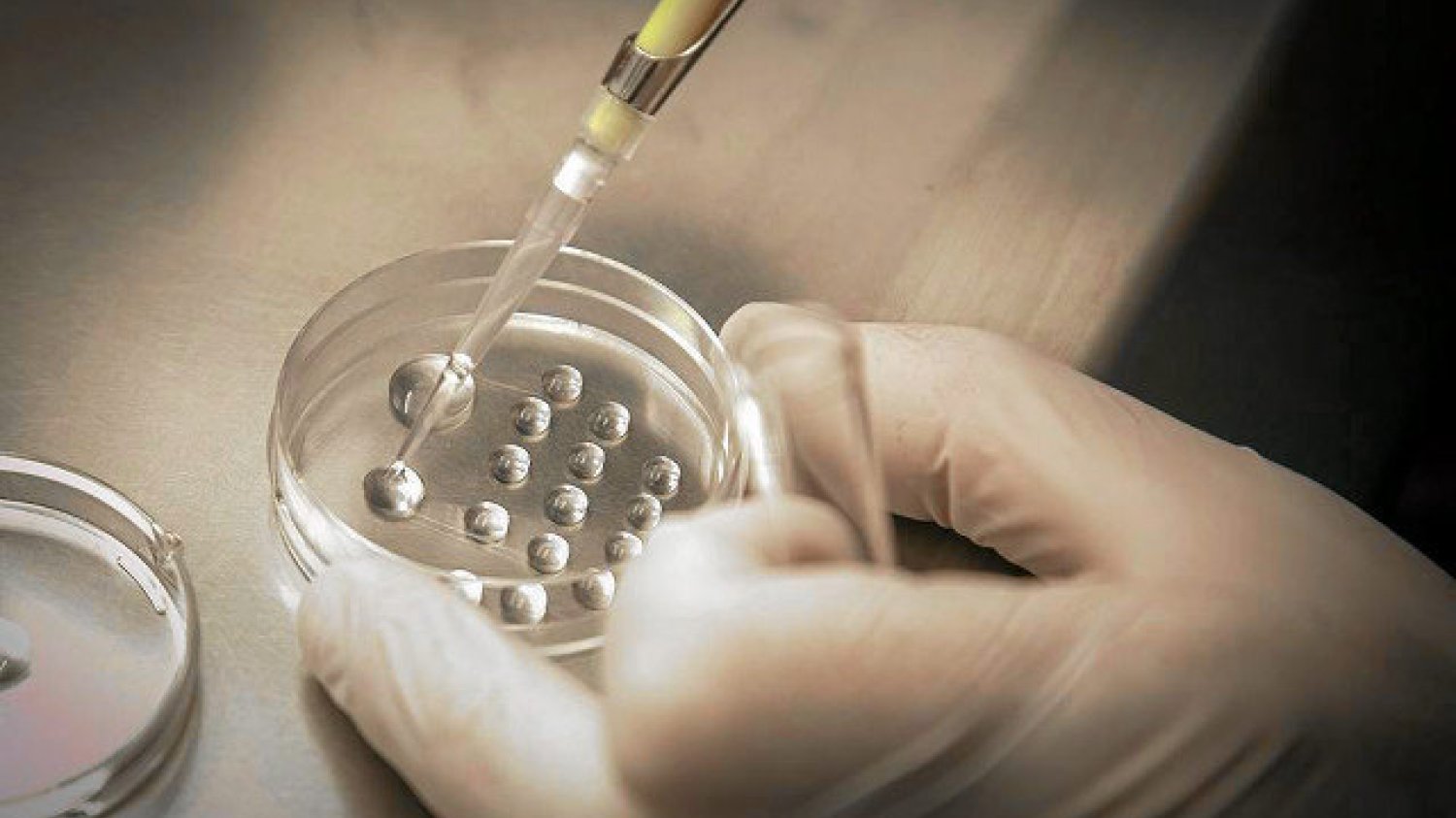 Stołeczni radni przegłosowali uchwałę o refinansowaniu zabiegów in vitro.