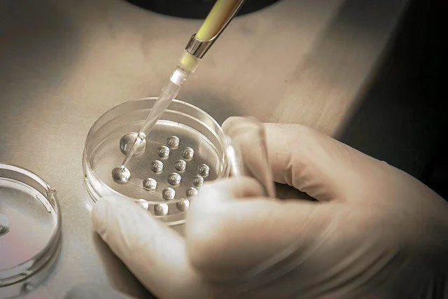 Stołeczni radni przegłosowali uchwałę o refinansowaniu zabiegów in vitro.