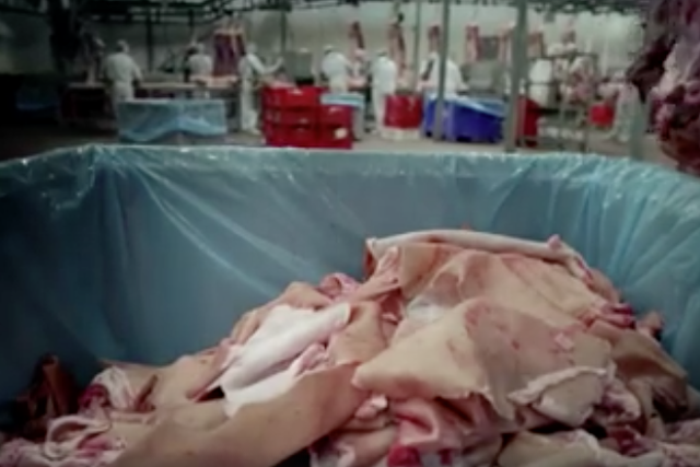 Wideo, które na Facebooku obejrzało ponad 3 mln osób, rozpoczyna taki obrazek.