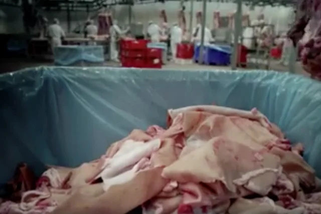 Wideo, które na Facebooku obejrzało ponad 3 mln osób, rozpoczyna taki obrazek.