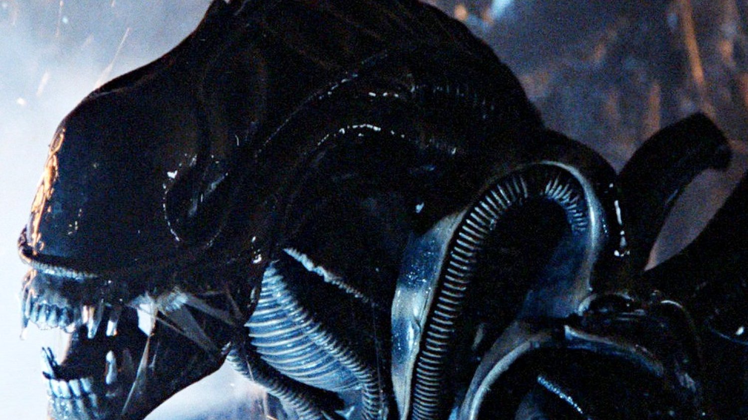 Alien Romulus obcy nowy film premiera data obsada Alien Romulus obcy nowy film premiera data obsada
