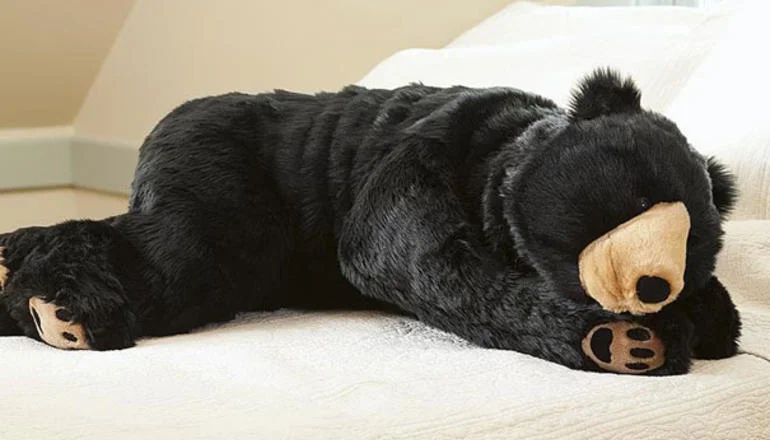 "Sleeping Bear"