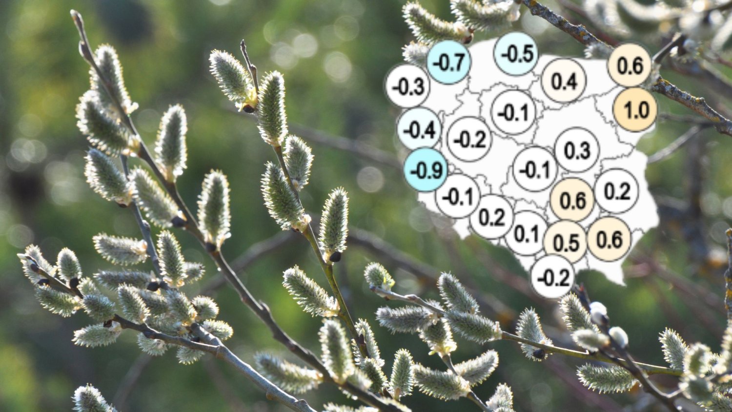 Prognoza pogody na Wielkanoc rozczarowuje. Lepiej naszykuj parasol i kurtkę