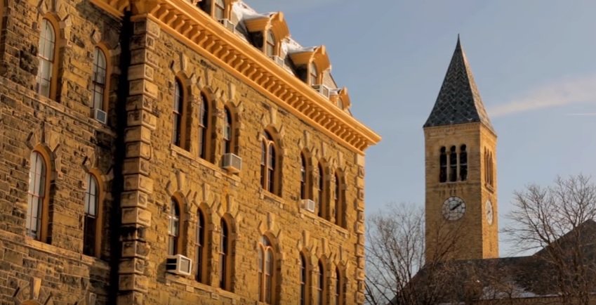 Liga Bluszczowa, inaczej nazywana Antyczną Ósemką, jest obecnie marzeniem setek tysięcy młodych ludzi na całym świecie.