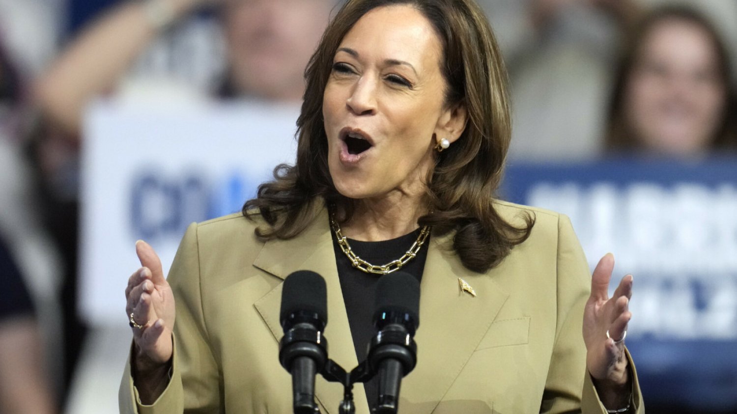 Harris wygrywa z Trumpem w tych kluczowych stanach. Wyjaśniamy, czym są "swing states" Kamala Harris