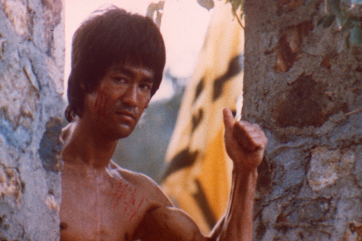 bruce lee śmierć dlaczego woda bruce lee śmierć dlaczego zmarł woda naukowcy