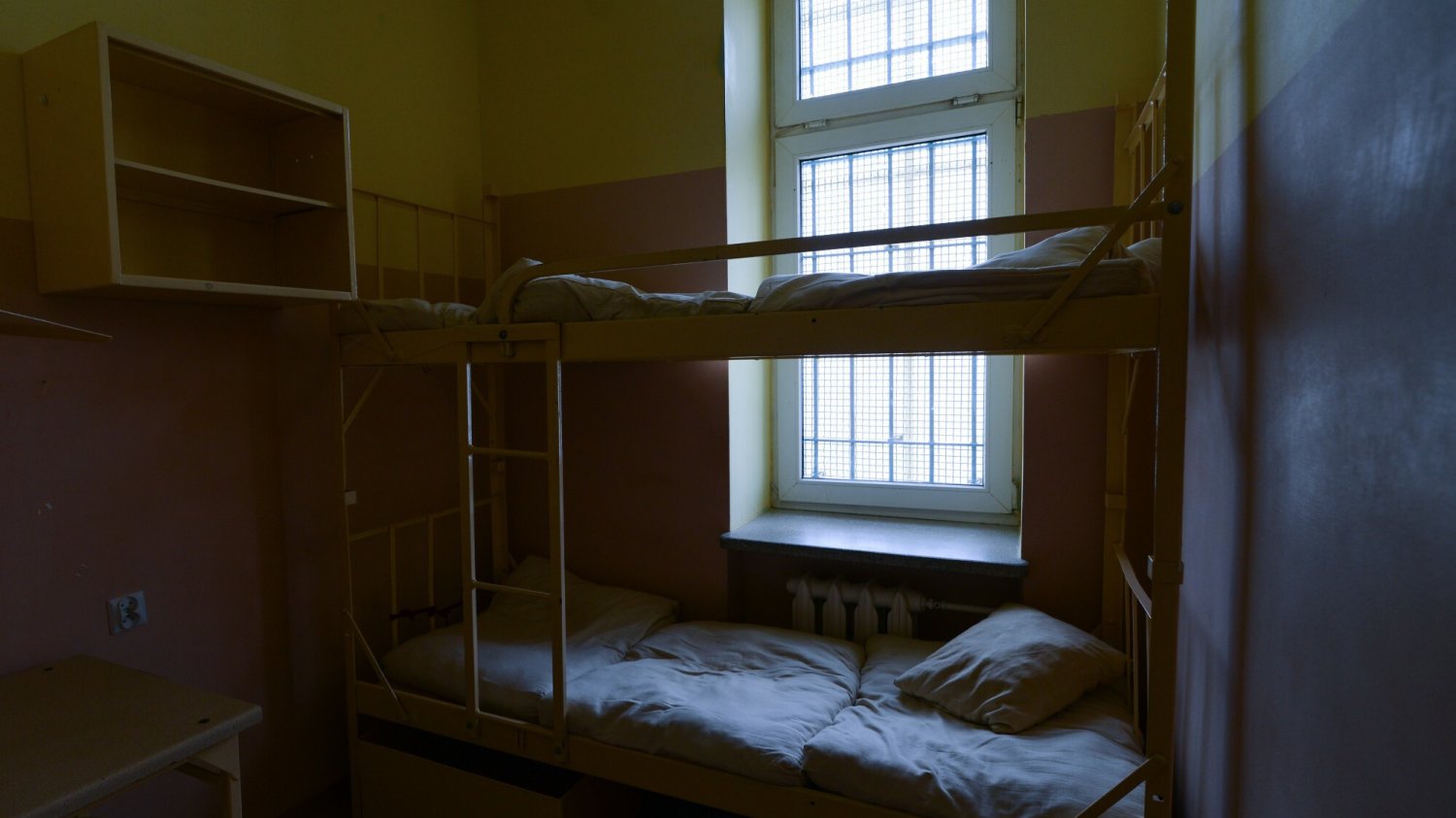 Pluskwy atakują w więzieniach. Rzecznik Praw Obywatelskich dostaje skargi, że problem wciąż wraca. Czy pomogą kontrole sanepidu?