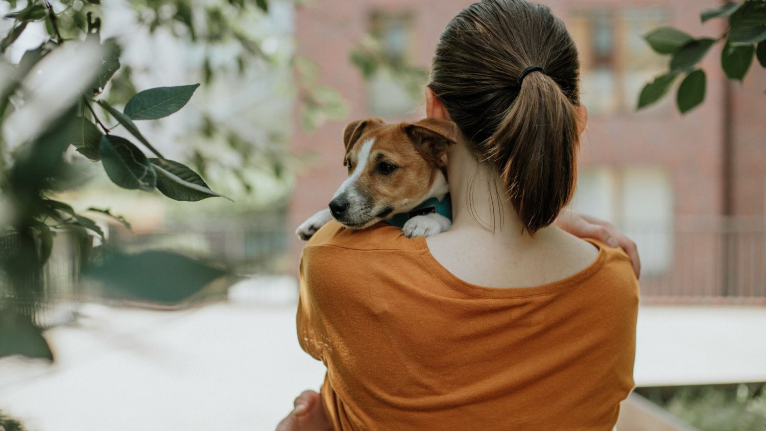 Zwierzęta domowe wspierają zdrowie psychiczne. Ich obecność naprawdę uspokaja
