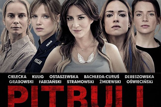 Plakat obrazu "Pitbull. Niebezpieczne kobiety" debiutuje w sieci.