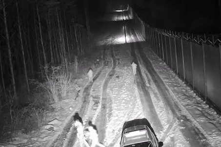 Na nagraniu widać migrantów próbujących przekroczyć nielegalnie granicę polsko-białoruską.