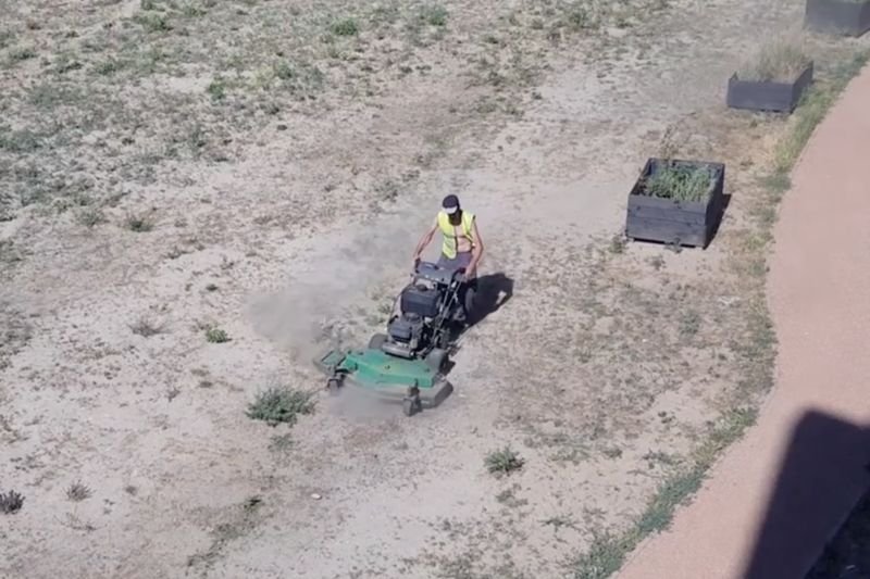 Nagranie zostało opublikowane na Facebooku.