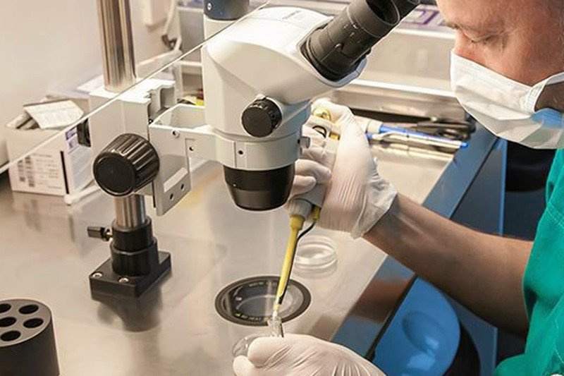 Procedura in vitro może być droższa i trudniejsza do przeprowadzenia.