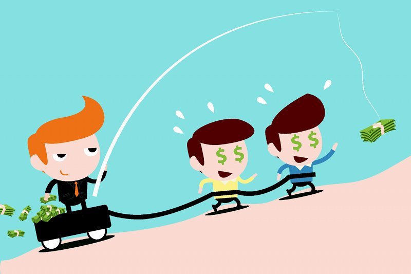 Taki obraz praktyk ma przeciętny student. To prawdziwa wizja?