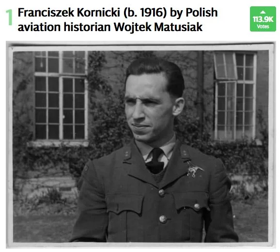 Polski pilot prowadzi w internetowym głosowaniu.