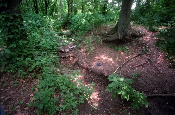 Miejsce zbrodni – Robin Hood Hills