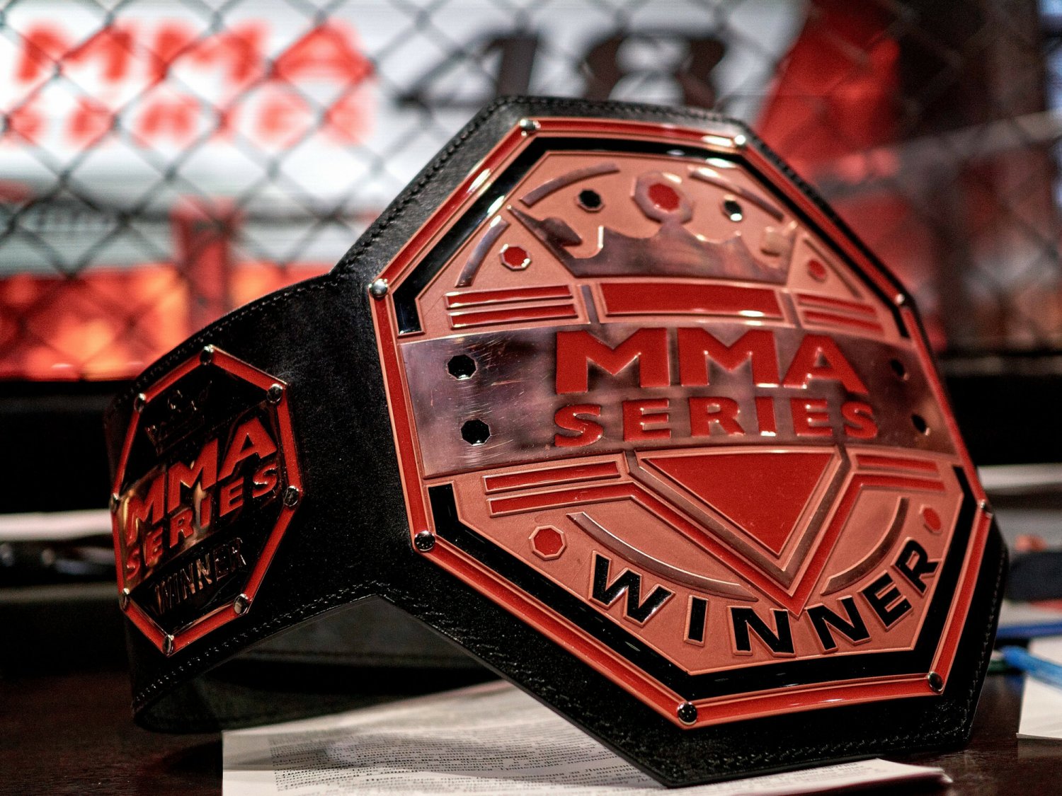 Policjanci ze Śląska udaremnili organizację gali MMA przez nastolatków i dla nastolatków