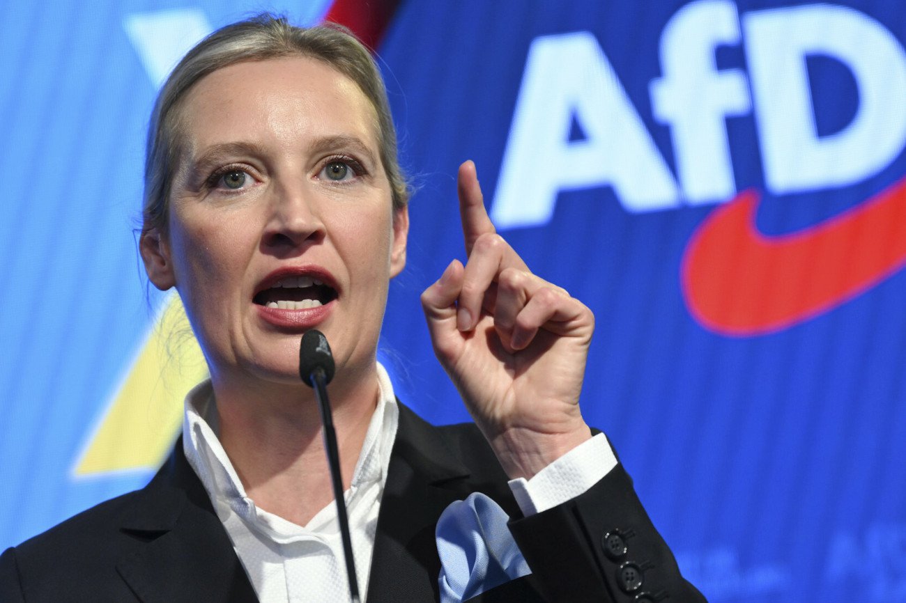 Niemiecka AfD a Polska. Pytamy partię o jej stanowisko