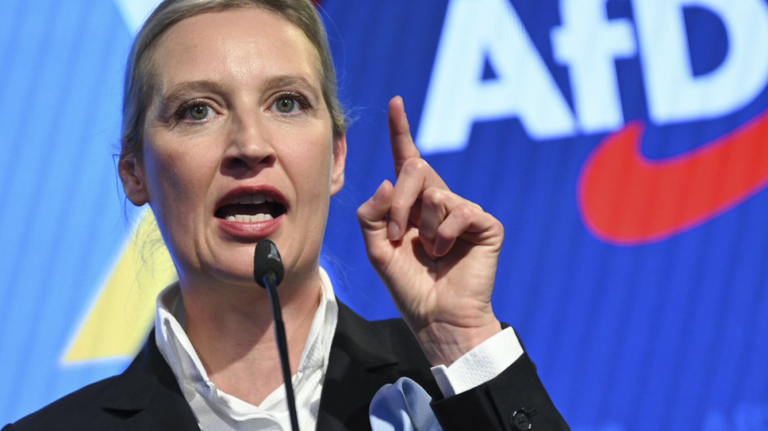 Niemiecka AfD a Polska. Pytamy partię o jej stanowisko