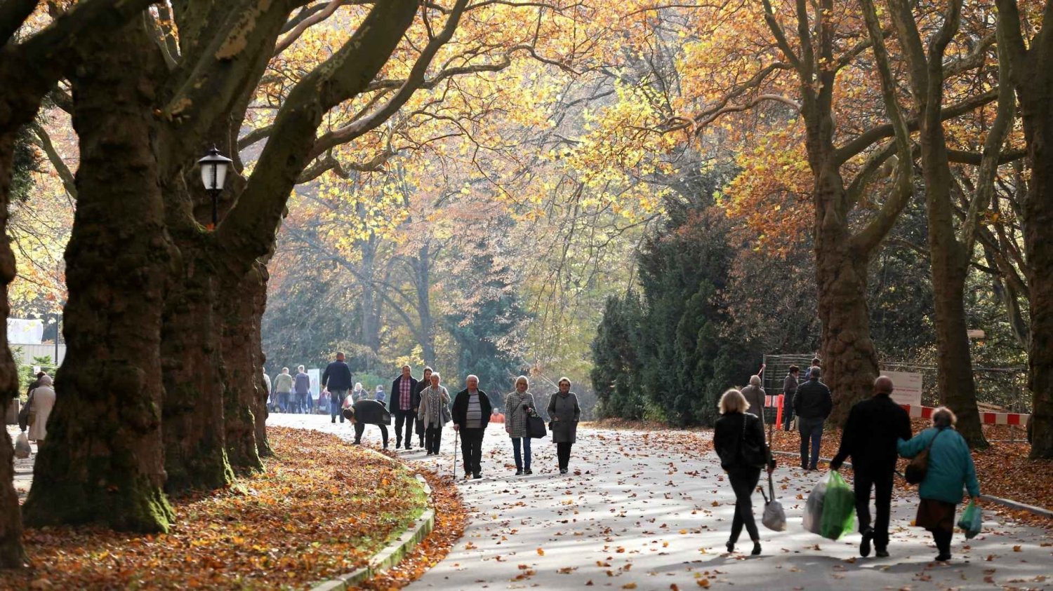 Prognoza pogody do końca listopada 2025