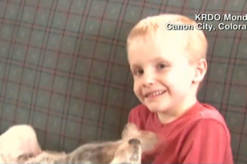 Sześcioletni uczeń został zawieszony. Szkoła uznała, że pocałowanie koleżanki w rękę to molestowanie seksualne.