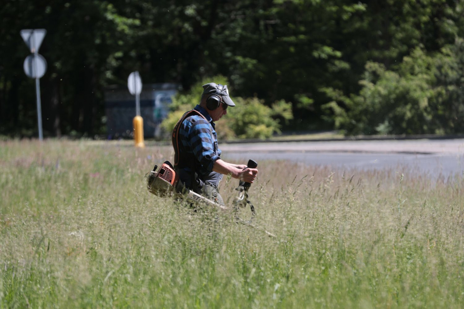 Czy koszenie trawy pomaga na kleszcze i alergie? Logiczne wyjaśnienie