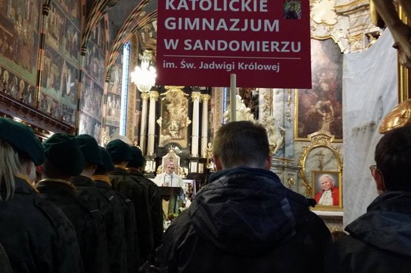 Siostry zakonne w Sandomierzu wycięły 34 kasztanowce. Muszą zapłacić ponad 90 tys. zł kary.