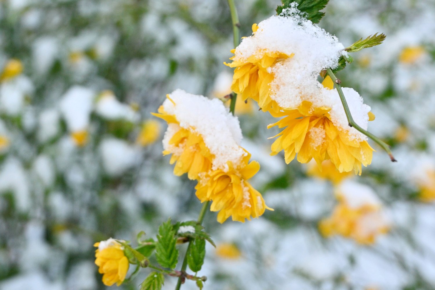 pogoda na 21 kwietnia, ostrzeżenia IMGW