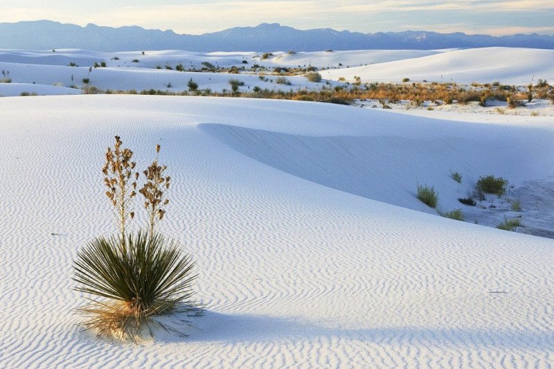 Śnieg na Saharze, spadło aż 40 cm białego puchu, ostatni raz takie zjawisko obserwowano 40 lat tem. Zdjęcie poglądowe.